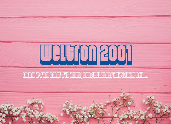 Weltron 2001 example